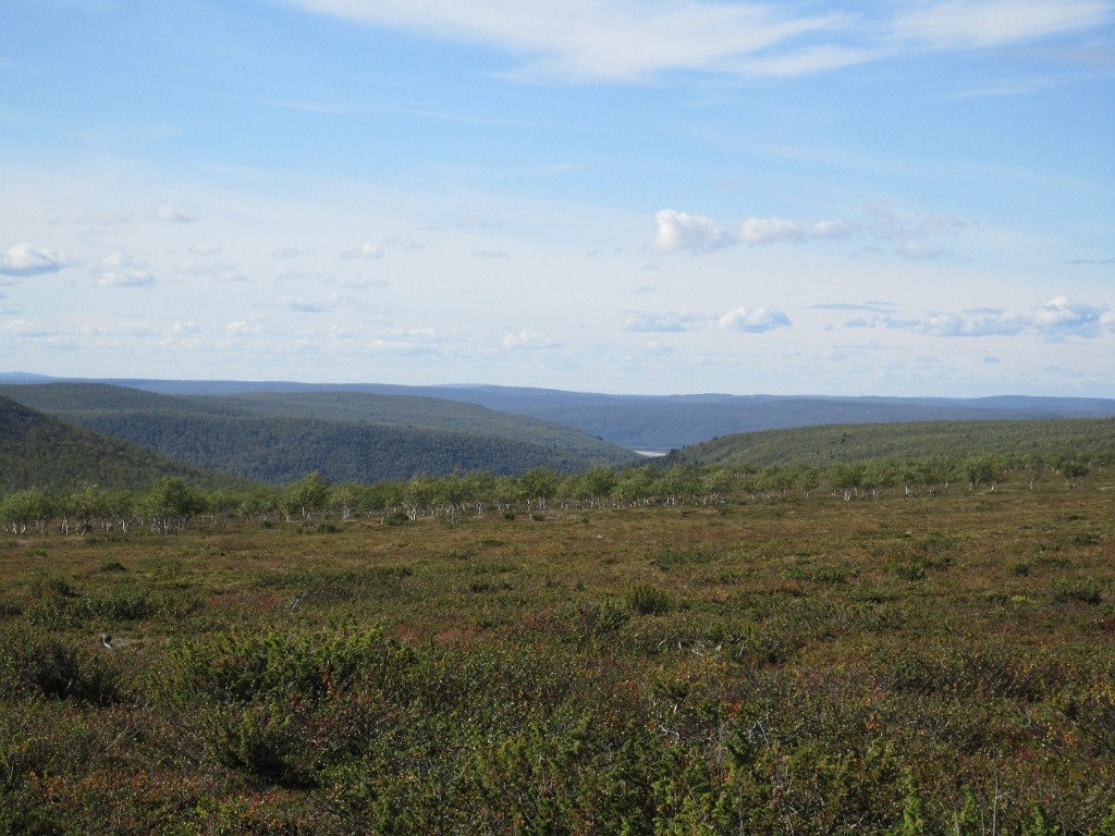 kesä 2011 397.jpg